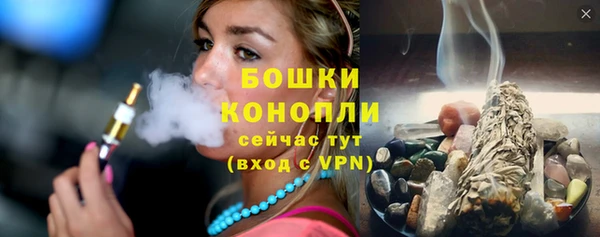шишки Каменка