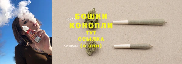 амф Инта