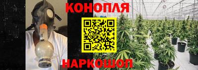 круглые Камышлов