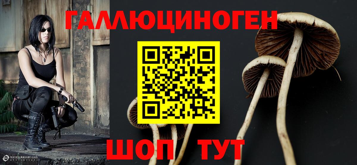 Краснокаменск  Псилоцибиновые грибы GOLDEN TEACHER  Вход с VPN 