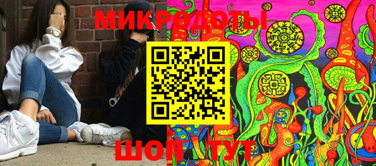 Галлюциногенные грибы Psilocybe Краснокаменск